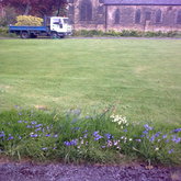 Lawn Cutting 1